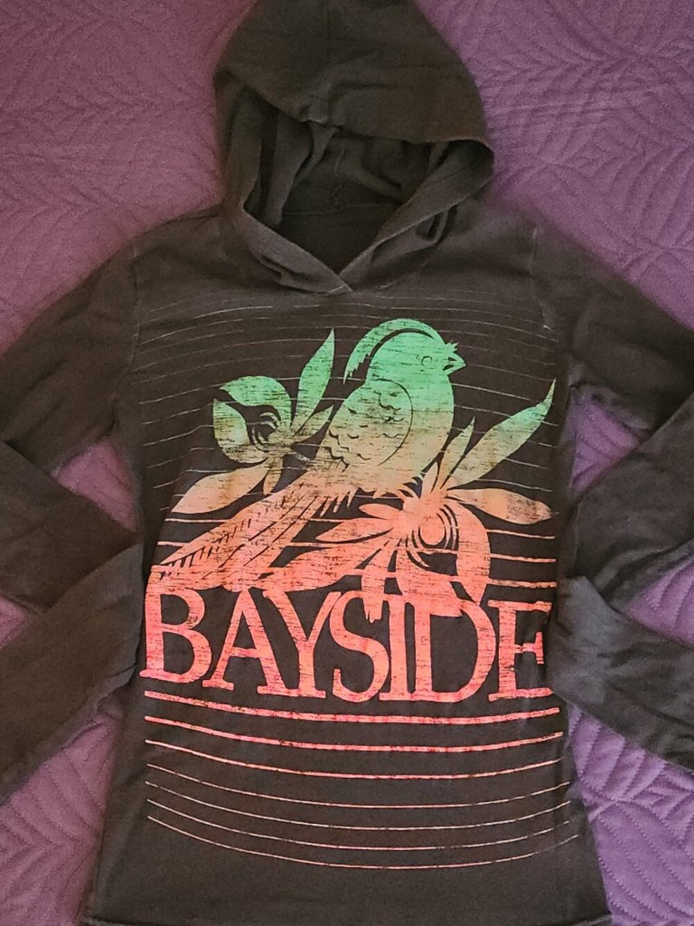 Black Bayside Hoodie with Colorful Bayside Bird Logo (2010)